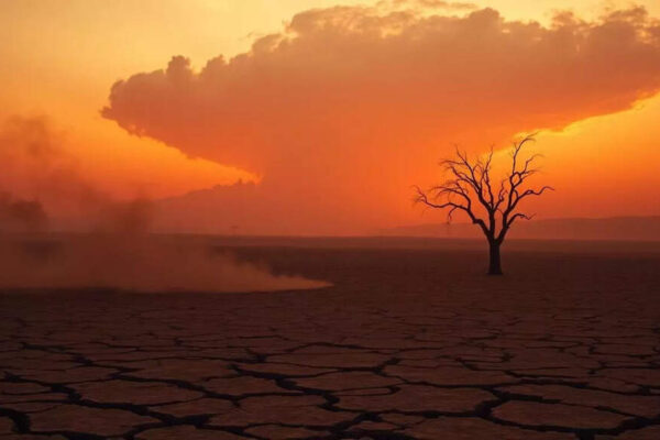 Levels of carbon dioxide reached new highs last year, reporting largest single year increase since 1957: WMO