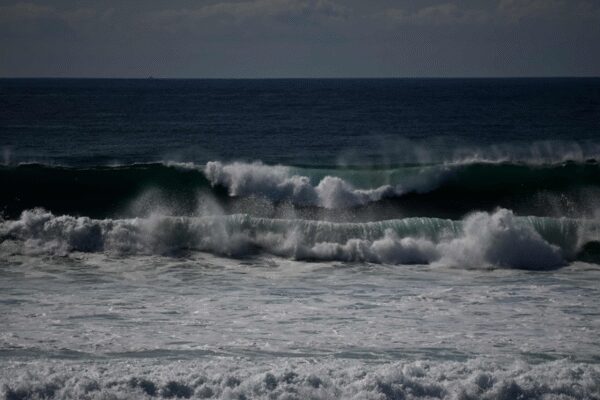 Water salinity hurting farmers, livestock in Iraq