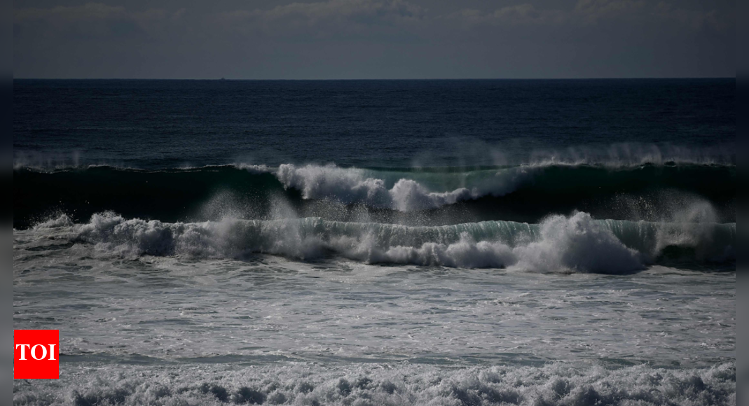 Water salinity hurting farmers, livestock in Iraq