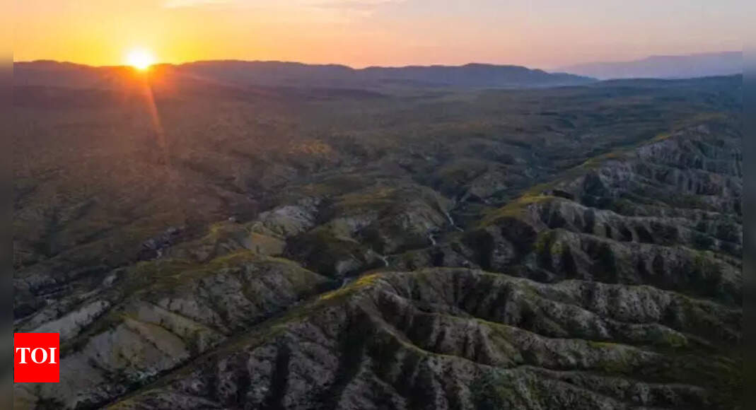 California at risk? The “Really Big One” could strike and cause massive damage, scientists warn