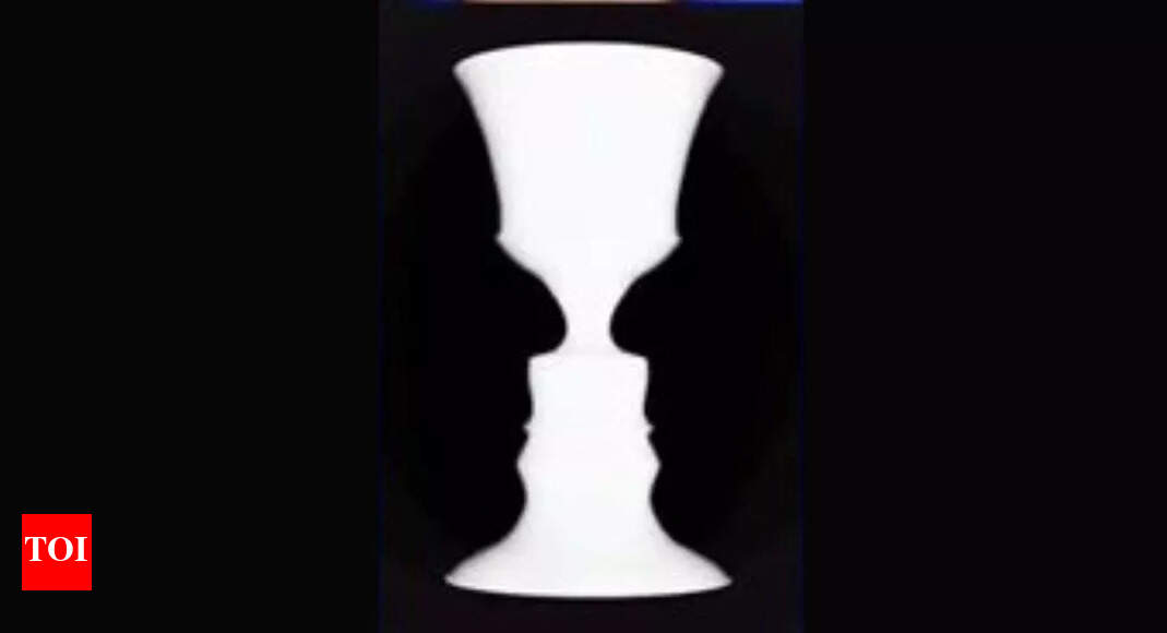 Optical illusion personality test: Two men or a vase? What you see first reveals if you are a born leader or strive for self-development