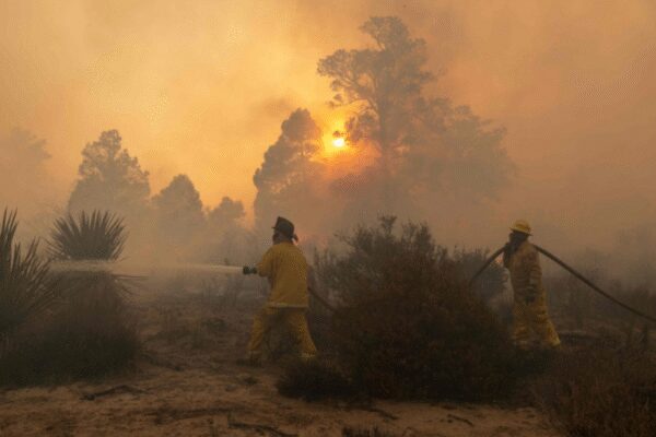 Wildfire in Namibia’s flagship park contained, says minister