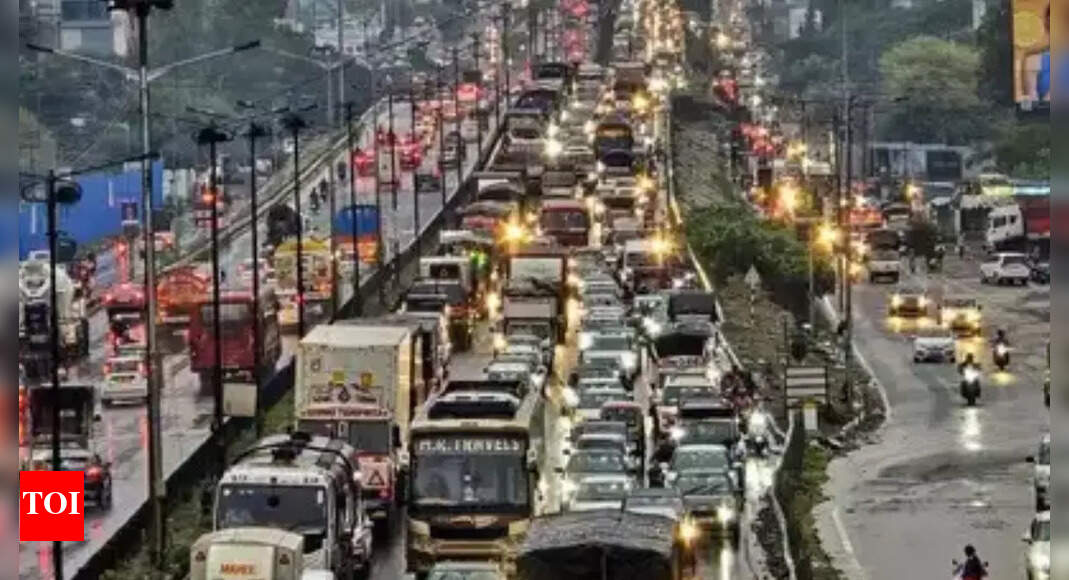 Entry ban in Delhi from Nov 1: Which vehicles can enter & which cannot