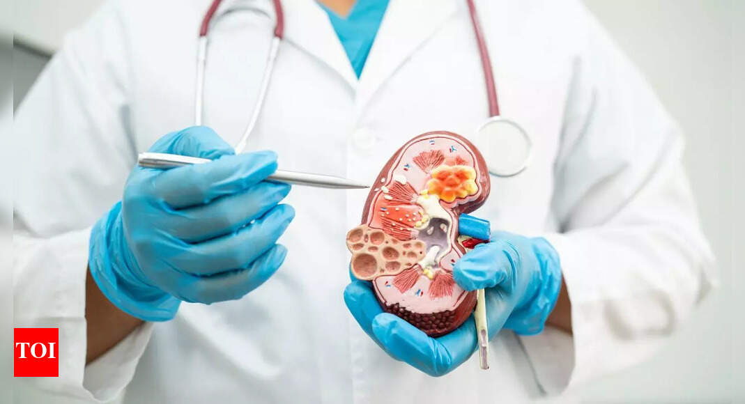 What causes kidney attacks: Understanding its symptoms and ways to protect your kidneys |