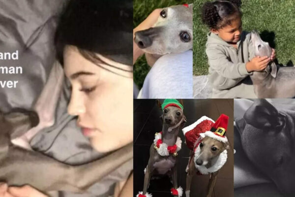 Kylie Jenner mourns her dog, Norman; ‘I had never loved anything so much’ |