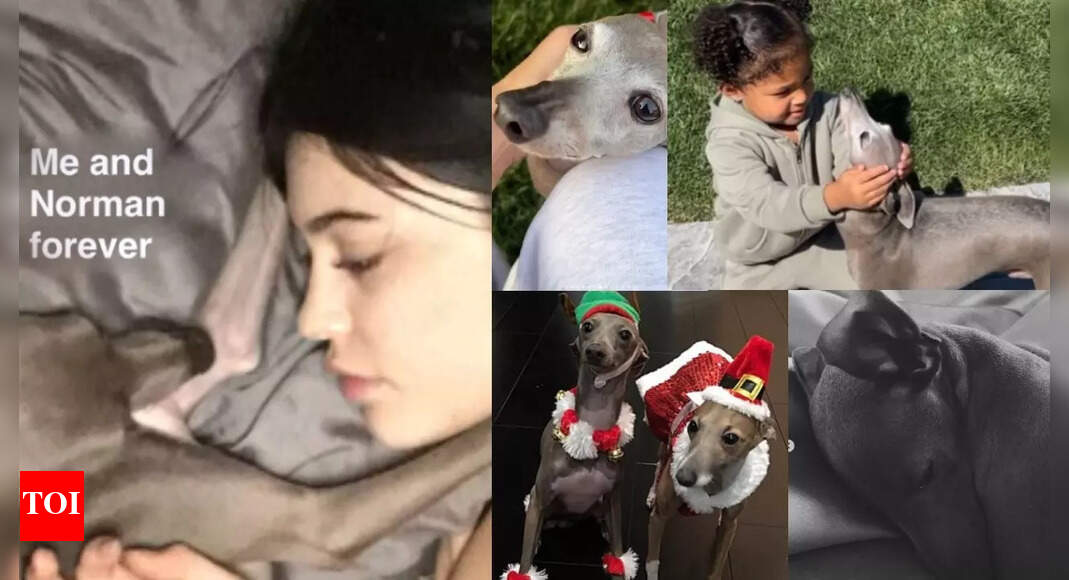 Kylie Jenner mourns her dog, Norman; ‘I had never loved anything so much’ |