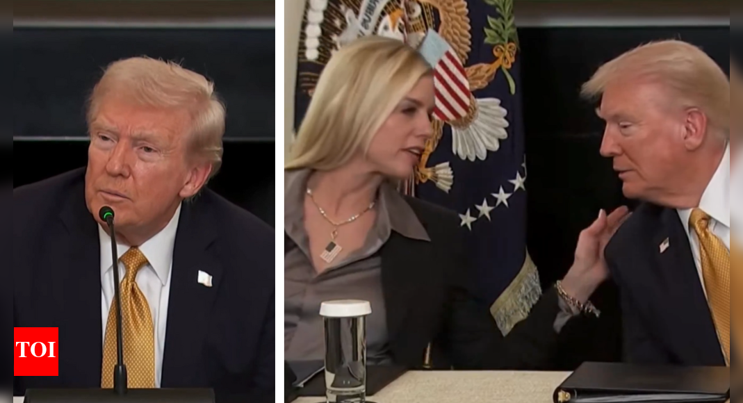 Donald Trump roasted for not understanding French journalist’s accent: ‘How does he talk to Melania?’