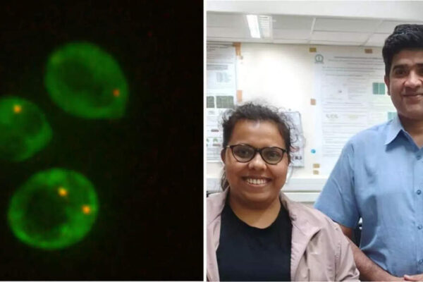 Can yeast survive on Mars? IISc, Isro scientists find promising clues