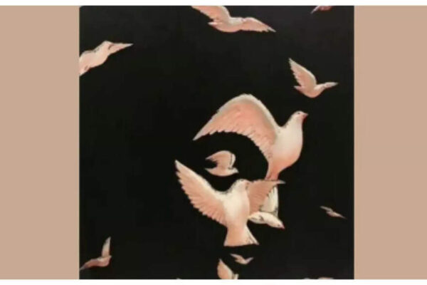 Optical illusion: Woman or birds? What you see first will reveal a surprising fact about you |