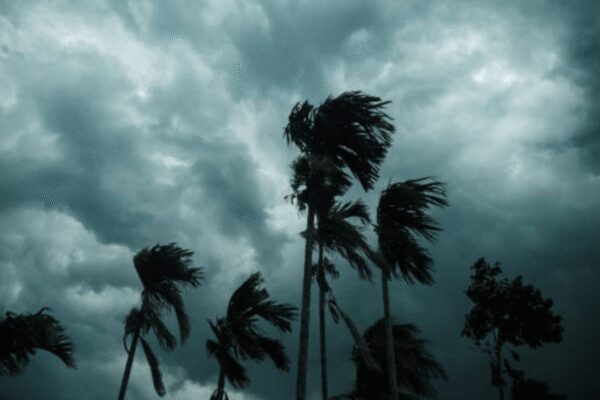 The day Odisha stood still and the spirit that never did: 1999 Super Cyclone to Cyclone Montha