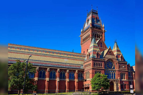 Harvard and its A story: Why professors are reluctant to give anything less than perfection