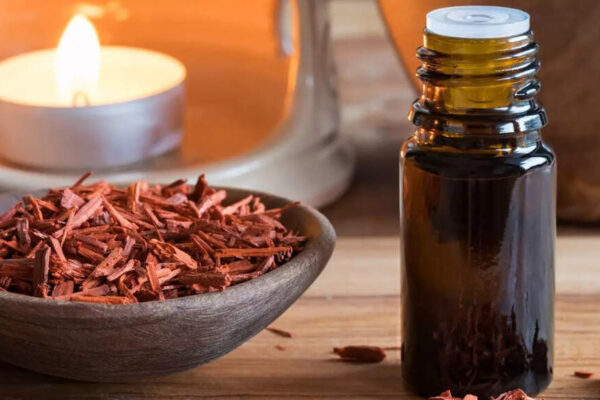 Sandalwood oil may help prevent skin cancer and support healthier skin; know the science behind it