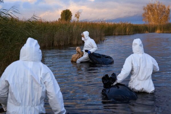 Disease in flight: Bird flu spreads in Europe, US