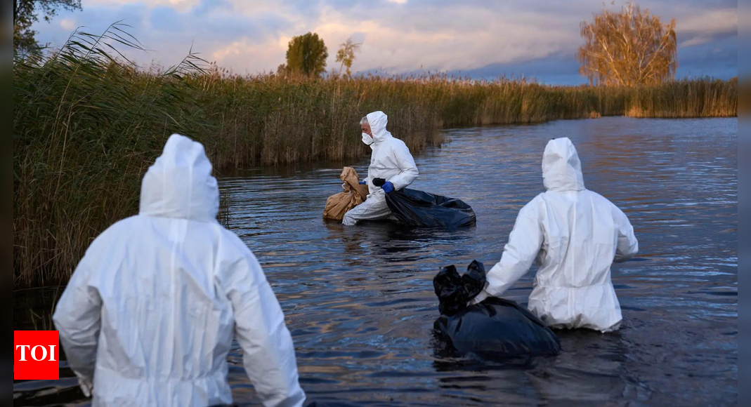 Disease in flight: Bird flu spreads in Europe, US