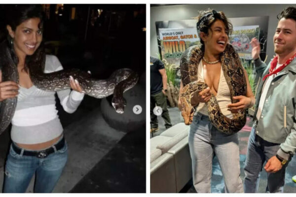 Priyanka Chopra shares her Then and Now pics with snakes; asks fans ‘Notice a theme here…’ |