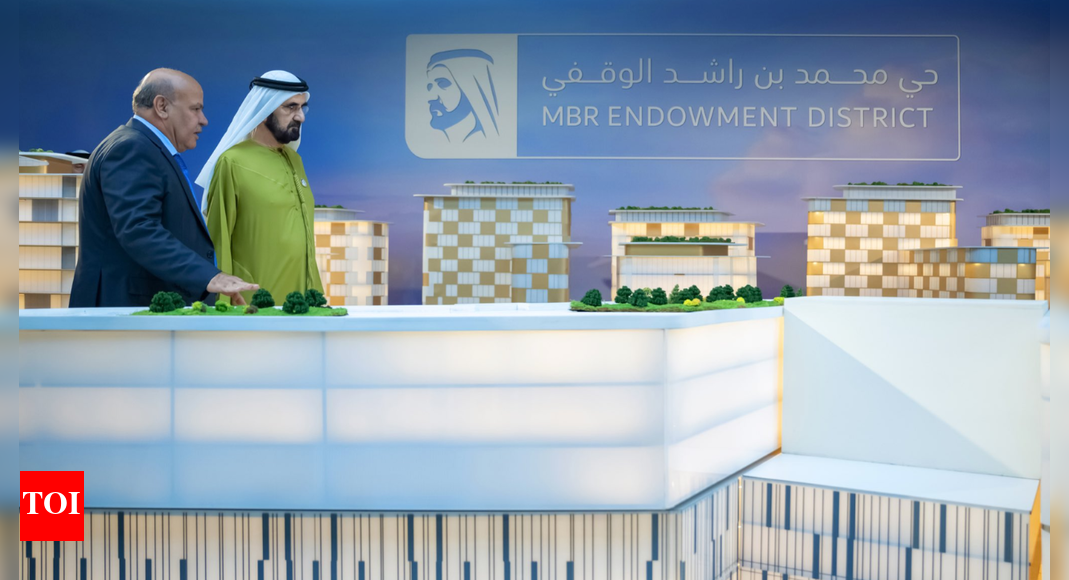 UAE announces Dh4.7 billion endowment for health, education and housing