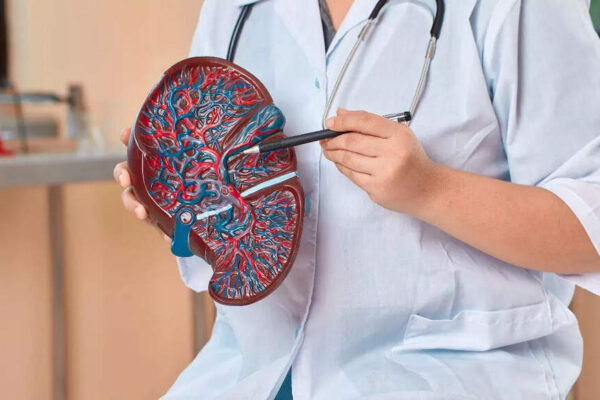 Liver cirrhosis vs. fibrosis: Understanding the differences, causes, symptoms, and ways to prevent them