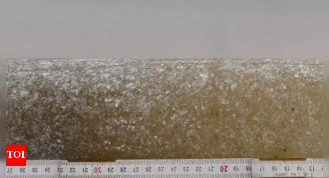 6-million-year-old Antarctic ice reveals how Earth once heated; know what it warns about tomorrow