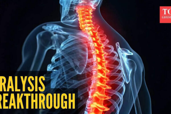 Cure for paralysis? Scientists find an old drug that could regenerate life in the spinal cord |