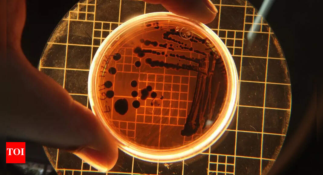 Hidden life beneath our feet: How deep-Earth microbes might be colonising the surface