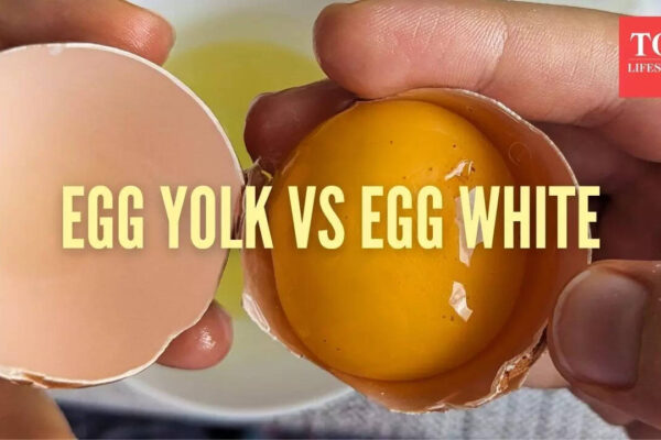 Which egg part has more protein and nutrition