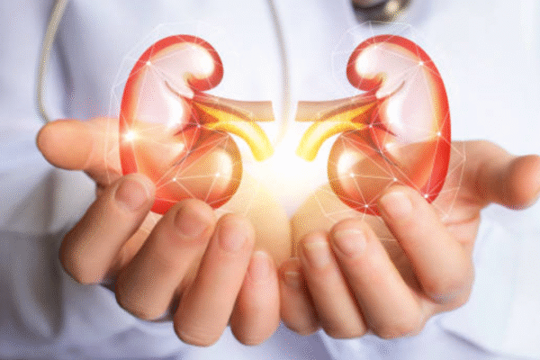 Kidney disease among top 10 causes of death; 800 million people affected and most don’t even know it: Here’s how to catch it early