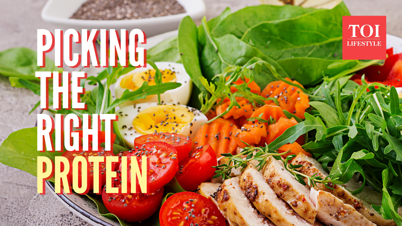 Animal protein vs plant protein: Which is best for meeting the body's nutritional needs?