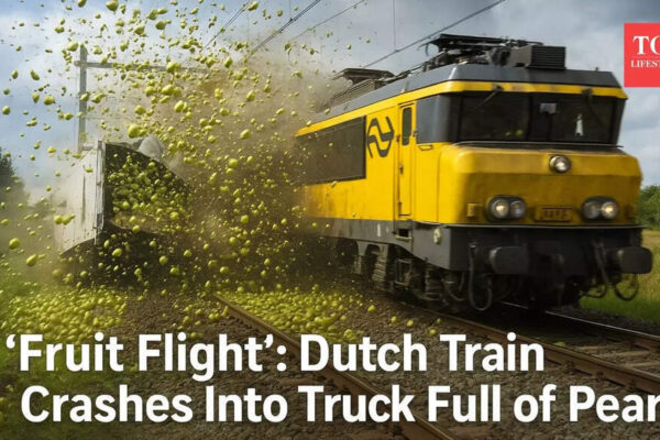 ‘When life gives you pears…’: Viral video of Dutch freight train crash with pear truck takes over X, Reddit and TikTok