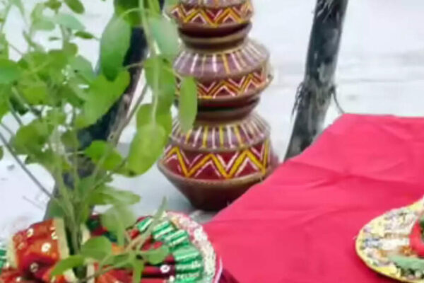 Tulsi Vivah Remedies You Can Perform For Early Marriage