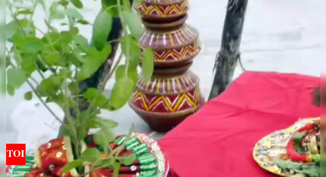 Tulsi Vivah Remedies You Can Perform For Early Marriage