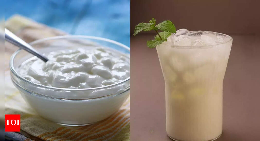 Curd or buttermilk: Which is better for your gut health, hydration, and overall well-being |