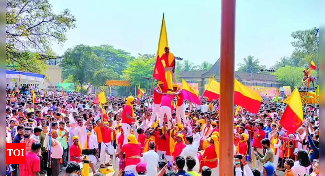 Knife attack in Karnataka: 5 stabbed during Kannada Rajyotsava celebrations | Hubballi News