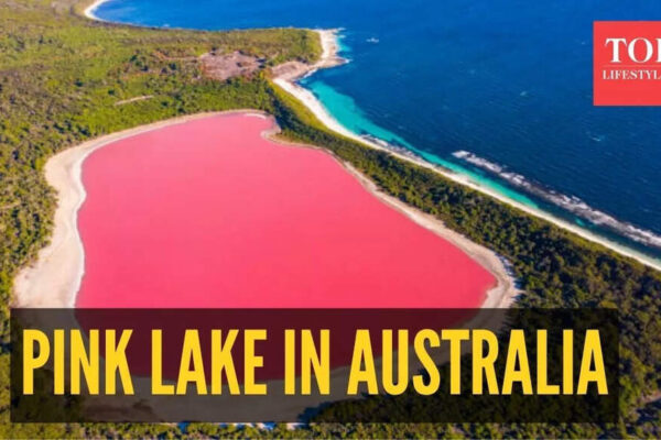 Lake Hillier, in Australia has a ‘candy pink’ colour: What makes it look like that?