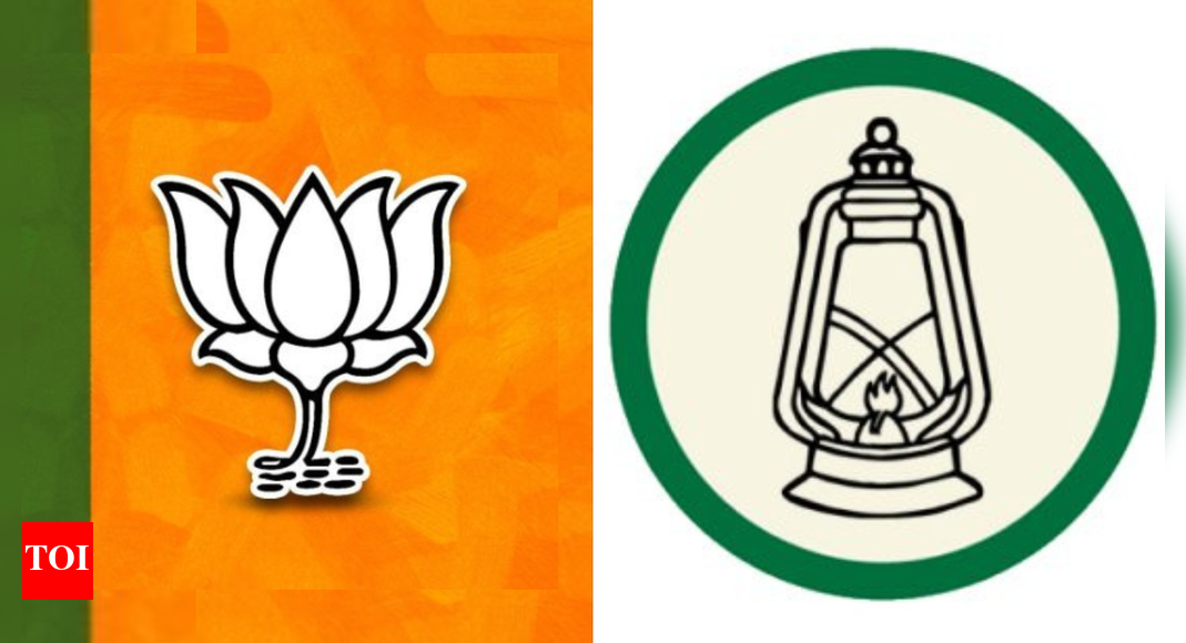 A political rift has erupted in Darbhanga’s Gaura Bauram as RJD expelled Afzal Ali Khan for refusing to withdraw his nomination after the seat was given to VIP’s Santosh Sahni. This internal conflict could split the Muslim vote, potentially benefiting BJP’s Sujeet Kumar Singh, who claims support from various caste groups. VIP remains confident of consolidating votes against the BJP. Representative image A peculiar contest has emerged in Darbhanga’s Gaura Bauram constituency. Amid uncertainty and confusion during seat-sharing within the Mahagathbandhan, RJD had initially allotted the ticket to Afzal Ali Khan. Later, the seat was handed over to Mukesh Sahni’s VIP. Sahni then fielded his younger brother Santosh Sahni from here but Afzal Ali refused to withdraw. Treating this as indiscipline, RJD yesterday expelled Afzal Ali for six years with immediate effect.This sets up a potential split in the Muslim vote between Afzal Ali and Santosh Sahni, this could end up benefiting the BJP.‘NDA Will Form Govt Again Under Nitish Kumar’s Leadership’: Bihar Dy CM Vijay Sinha Ahead Of PollsBJP has fielded former IRS officer Sujeet Kumar Singh. His wife Swarna Singh had won from here in the previous election on VIP’s ticket, but later joined BJP. The seat has a sizeable Mallah population, the reason Mukesh Sahni had originally demanded it for himself but eventually nominated his younger brother.RJD insists that Santosh Sahni is the authorised Mahagathbandhan candidate. But on paper, Afzal Ali continues to remain the nominated nominee — something that could complicate Santosh’s prospects. Afzal Ali had lost by barely 7,000 votes the last time when he contested on RJD’s ticket.Caste arithmetic in Gaura BauramTotal electorate: 2.65 lakhEstimated blocs: Muslim 70k, Yadav 28k, Mallah 26k, Brahmin 33k, Vaishya 20k, Paswan 15k, other SC 25k.BJP’s Sujeet Kumar Singh is from the Rajput community, which is not numerically dominant here. However, he believes he can ride on the BJP’s core vote base plus Mahagathbandhan’s internal rebellion.Speaking to us, he claimed that barring Muslims, every caste group is voting for me. He also claimed a large chunk of Yadavs are backing him. Singh resigned from the IRS only a week before receiving the BJP ticket and believes his “education and clean image” will work as an added advantage.VIP counts on consolidation in the endVIP spokesperson Dev Jyoti said within 24 hours of Afzal Ali’s expulsion, the “wind has swung” in VIP’s favour. He expressed confidence that Muslim voters, at the end of the day, will back the candidate best placed to defeat the BJP. He also said the backing of Lalu Prasad Yadav and Tejashwi Yadav is firmly with VIP here.However, some minority voters argue that since RJD had already issued the nomination earlier, Mukesh Sahni shouldn’t have disturbed the seat.End of ArticleFollow Us On Social MediaVideosHorror In Coimbatore: Student Gang Raped After Abduction, Three Accused Shot And Arrested By Police’Will Cut Off Your Tongue’: Bihar Poll Campaign Turns Ugly, AIMIM Candidate Threatens Tejashwi YadavUS Courts Halt Deportation Of Indian-Origin Man Wrongfully Jailed For 43 Years In False Murder CaseCongress vs Congress: Tharoor’s Essay Triggers Storm, BJP Adds Fuel With JibeIndia Dispatches Relief Material and Tonnes of Medicines to Earthquake-Hit Northern AfghanistanIndia Emerges Key Partner In Bhutan’s Global Peace Festival As PM Tobgay Highlights Modi’s SupportWorld Cup 2025: ‘Shift From Patriarchy…’: Ex-Cricketer On What Indian Women’s Victory Means‘Certified Liar’: BJP Hits Back At Mallikarjun Kharge Over ‘Jhooton Ke Sardar’ Jibe At PM ModiLakhisarai Voters Slam Vijay Sinha Over Poor Roads, Health And Education Woes | Bihar Elections‘NDA Will Form Govt Again Under Nitish Kumar’s Leadership’: Bihar Dy CM Vijay Sinha Ahead Of Polls123 Photostories  Do you know eating this cereal daily may reduce LDL levels and high sugar? Simple ways to make it at home?Sabumon Abdusamad to Jinto: Here’s what Bigg Boss Malayalam winners are up toSilent liver damage: Do herbal drinks really detox your liver? Experts expose dangerous myths about liver healthFrom Karthika Deepam to Chinni: Top 5 Telugu serials of the weekFrom Deepika Padukone to Kareena Kapoor: Bollywood’s obsession with monochrome fashionBigg Boss Malayalam 7 fame Binny Sebastian stuns in her ethereal looks as SitaWhen Indian women’s cricket captain Harmanpreet Kaur turned model for Shantnu & NikhilMohini Mudra: How this simple hand gesture boosts attractiveness and confidence5 iconic dad-daughter moments from Stranger Things between David Harbour and Millie Bobby BrownUnseen photos of young Shah Rukh Khan from his theater days resurface, offering a rare glimpse before stardom123Hot PicksStock market holidayBank HolidayBihar Election 2025Gold rate todaySilver rate todayPublic Holidays NovemberBank Holidays NovemberTop TrendingTaylor SwiftJalen Green GirlfriendKyle KulinskiWilliam NylanderMLB Trade RumorsTravis Kelce InjuryJake PaulBlake TreinenTyrese Haliburton InjuryBengaluru Scooter Accident