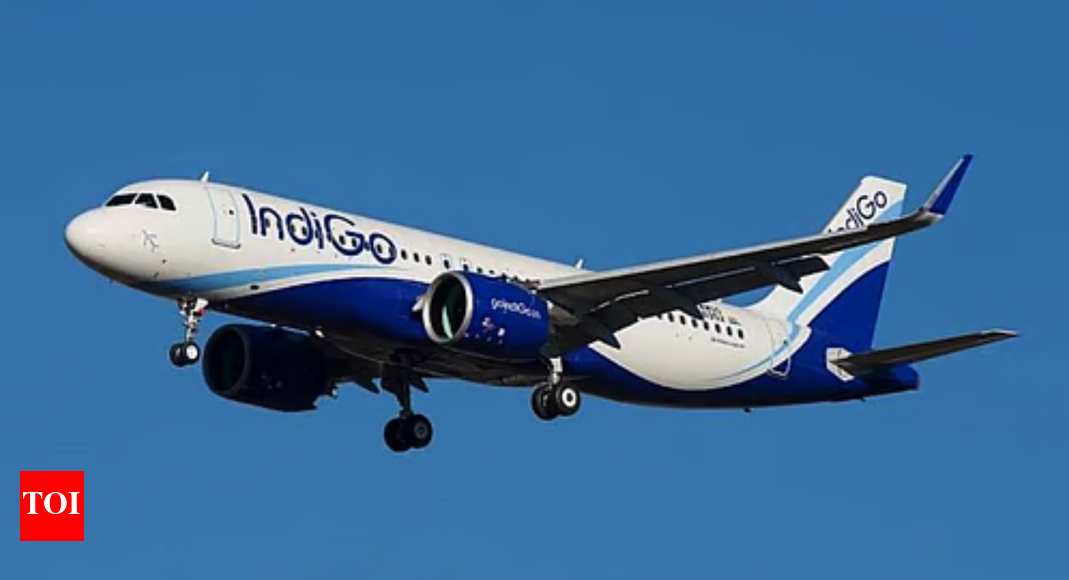 IndiGo Q2 results: Airline posts Rs 2,582 crore loss on forex hit; revenue up 9% YoY as cost pressures rise