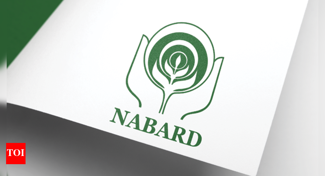 NABARD Grade A Recruitment 2025 notification released: Online applications open from November 8, check details