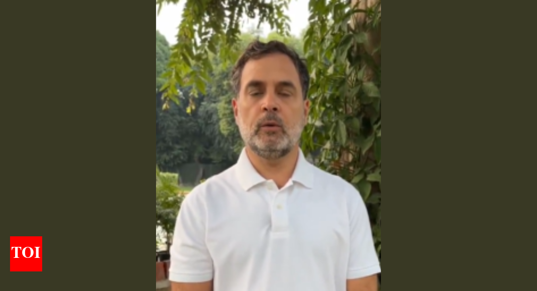 Rahul Gandhi urged Bihar’s Gen Z voters to protect democracy by voting against alleged “vote theft” conspiracies. He highlighted concerns over electoral manipulation in other states and called for vigilance at polling booths. Gandhi encouraged young first-time voters to support the Mahagathbandhan, emphasizing truth and non-violence to safeguard Bihar’s future and awaken the state. Rahul Gandhi NEW DELHI: Hours after holding the third of his “vote chori” press conferences, Congress leader Rahul Gandhi on Wednesday — on the eve of the first phase of polling in Bihar — once again appealed to “Gen Z” voters to help “save” India’s democracy – through truth and non-violence.”My young friends from Bihar, my Gen-Z brothers and sisters — tomorrow is not just a day for voting, but a day to decide the direction of Bihar’s future,” Gandhi said in a video posted on his X handle. “Many of you will be voting for the first time — this is not just your right, but democracy’s greatest responsibility. You’ve seen how in Haryana, a nefarious game of vote theft was played. In Maharashtra, Madhya Pradesh, Chhattisgarh — everywhere, these people have tried to suppress the people’s voice. Now their eyes are on Bihar, on your votes, on your future,” he added, referring to states where he has alleged electoral manipulation. The Lok Sabha Leader of Opposition also urged young voters to turn out in large numbers and support the Mahagathbandhan candidate in their respective constituencies. The Rashtriya Janata Dal-led Mahagathbandhan is the opposition alliance in Bihar seeking to unseat the ruling National Democratic Alliance. The Congress is a Mahagathbandhan constituent.”Stay vigilant against every conspiracy, every manipulation at the booth – democracy’s greatest strength is an aware public. Bihar’s future is in your hands – Defeat this conspiracy of ‘stealing votes and forming government this way.’ Walk the path of truth and non-violence and save democracy with your vote, awaken Bihar,” Gandhi said.Earlier, the Raebareli MP held a press conference at the Congress headquarters in Delhi, unveiling what he had been referring to as a “hydrogen bomb.” He alleged that the BJP had “stolen” Haryana from the Congress by adding 25 lakh fake voters in “collusion” with the Election Commission — a charge the poll body dismissed, as it had on the previous two occasions.The grand old party had “refused” to accept the results of the Haryana assembly elections, held in October last year. The first phase of polling in Bihar will cover 121 assembly constituencies, while the remaining 122 seats will go to the polls in the second and final phase on November 11. Counting of votes for both rounds is scheduled for November 14.“Gen Z” is a reference to the wave of youth-led movements that have toppled governments in several of India’s neighbouring countries — most recently in Nepal, following similar uprisings in Bangladesh in 2024 and Sri Lanka in 2022. Similar protests have also been witnessed in other nations.About the AuthorTOI News DeskThe TOI News Desk comprises a dedicated and tireless team of journalists who operate around the clock to deliver the most current and comprehensive news and updates to the readers of The Times of India worldwide. With an unwavering commitment to excellence in journalism, our team is at the forefront of gathering, verifying, and presenting breaking news, in-depth analysis, and insightful reports on a wide range of topics. The TOI News Desk is your trusted source for staying informed and connected to the ever-evolving global landscape, ensuring that our readers are equipped with the latest developments that matter most.”Read MoreEnd of ArticleFollow Us On Social MediaVideos‘BJP Abuses Nehru but US Mayor Quotes Him’: Priyanka Hits Back at NDA’s ‘Dynasty Politics’ ChargeJaishankar’s Canada Trip Likely To Spotlight Extremism, Security As India Seeks Post-Nijjar ClarityFirst Border Crossing Since Op Sindoor Turns Sour; Pak Blocks 14 Indian Pilgrims For Being ‘Hindu’India Will Not Compromise in FTA With New Zealand, Focus on Mutual Gains, Says Piyush Goyal”Kumari Selja herself had said…” BJP Lambasts Rahul Gandhi’s ‘H-files’ expose’Don’t Drag Army Into Politics’: Rajnath Singh Tears Into Rahul Gandhi Over Remarks On Army’Your Future Is Being Stolen’: Rahul Gandhi’s Bold Message to India’s Gen Z For Democratic ChangeGhazala Hashmi Makes History in Virginia, Becomes First Indian-American Lieutenant Governor at 60’Seema, Sweety, Saraswati’: Rahul Gandhi’s Sensational ‘Vote Chori’ Claim In Haryana’Operation Sindoor May Be Postponed But Will Be Relaunched’: Rajnath Sounds Warning At Bihar Rally123 Photostories  5 rare orange snakes that are nature’s hidden gemsMalaika Arora’s morning routine includes these 4 natural drinks5 unique aquarium creatures that help keep the fish tank clean naturallyLooking at Celina Jaitly’s precious social mediafamily memories amid her brother Vikrant Jaitly’s detention in UAEFrom not getting work to playing a mother to a grown up; Mahhi Vij on being back on TV with a new show amid divorce rumoursWhat happens when you eat moringa leaves daily and 6 easy recipes to try10 modern-sounding baby names that begin with letter ‘T’Taylor Swift’s winter wardrobe: 5 fashion cues to steal from the Showgirl10 timeless William Shakespeare quotes on love, relationships, and lifeGoat milk vs cow milk: Which is healthier123Hot PicksStock market holidayBank HolidayBihar Election 2025Gold rate todaySilver rate todayPublic Holidays NovemberBank Holidays NovemberTop TrendingPrince HarryNYC Mayor Election ResultZion WilliamsonWilliam NylanderKayla NicoleMiguel RojasChhattisgarh Train AccidentRoope HintzTyrese Haliburton InjuryBengaluru Scooter Accident