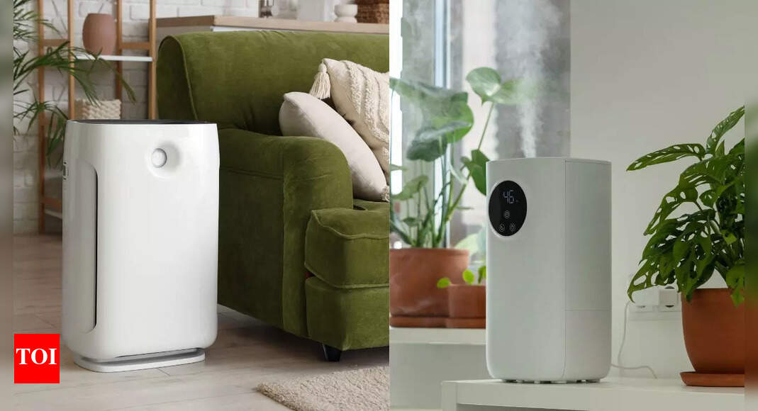 Air Purifier vs. Humidifier: What sets them apart and which one is best for indoor air quality |