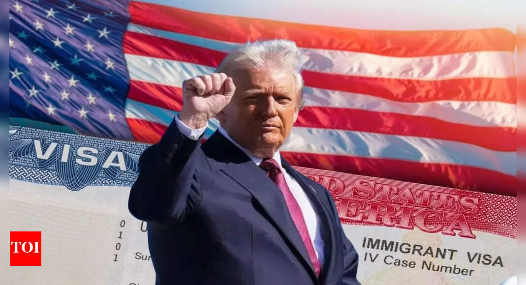 Donald Trump’s war on immigrants: Over 80,000 non-immigrant visas snatched this year