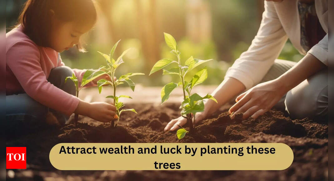 Attract wealth and luck by planting these trees