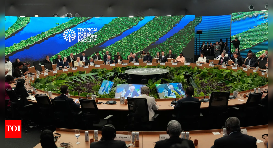 World leaders launch fund to save forests, get first  bn
