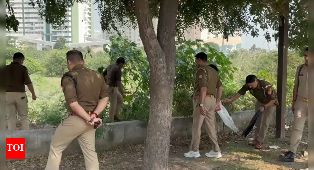 Noida murder mystery deepens: Woman’s beheaded body found in drain; killers untraceable