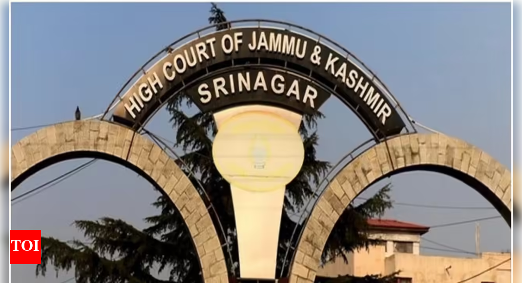 J&K HC upholds detention of a woman accused of having contact with Lakhvi’s nephew