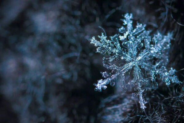 Scientists just discovered a new kind of ice ‘XXI’ and it’s nothing like the one in your freezer