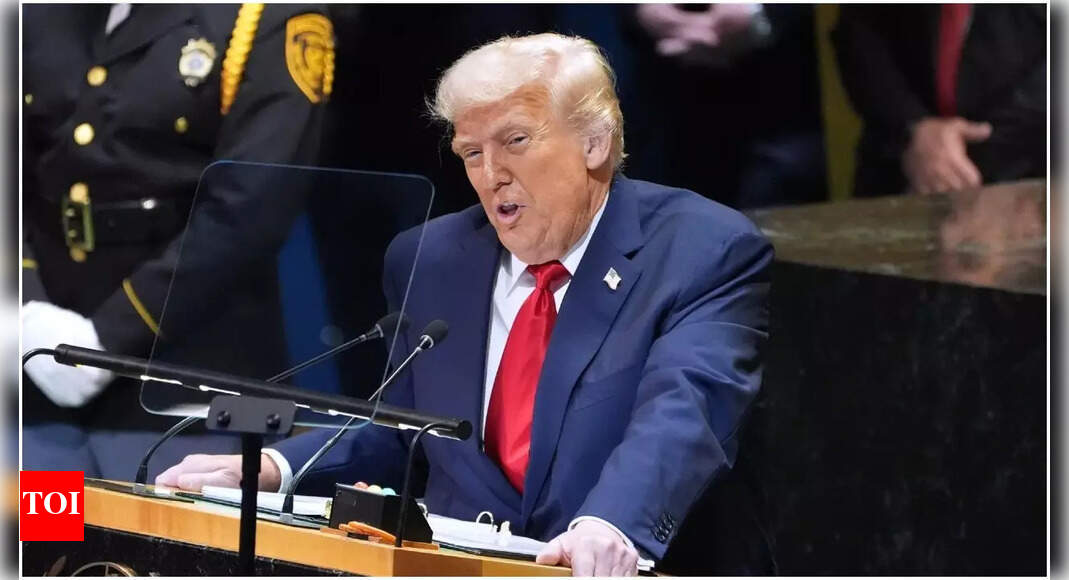 ‘No US government official will attend’: Trump to boycott G20 in Johannesburg, calls event in South Africa a ‘total disgrace’