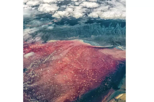 The deadly lake that turns animals to stone: Unravelling the mystery of Lake Natron’s red glow