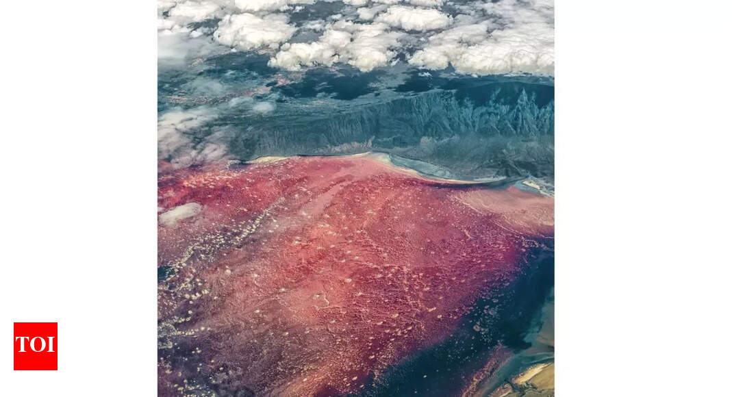 The deadly lake that turns animals to stone: Unravelling the mystery of Lake Natron’s red glow
