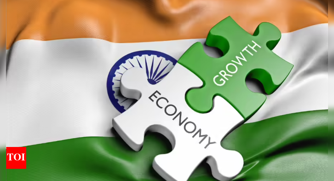 ‘Indian economy more resilient and inclusive’