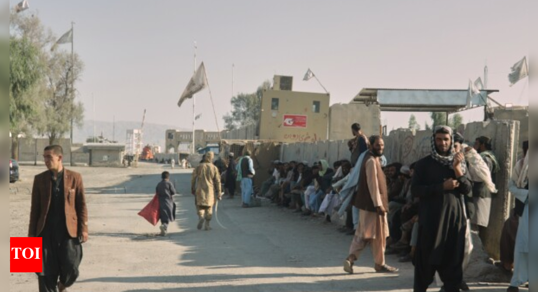 ‘No willingness to take responsibility’: Afghanistan-Pakistan peace talks fail again; what next?