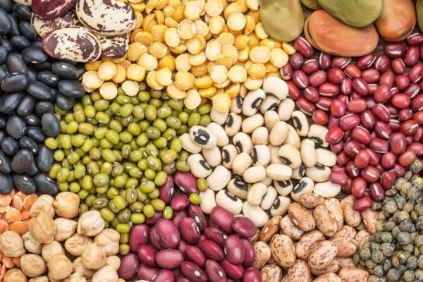7 magnesium-rich beans and peas: Plant-based support for muscles and nerves |